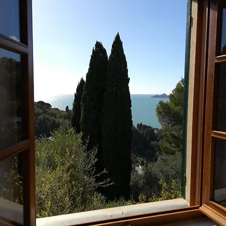 L'alcova Tra Gli Ulivi B&B 쪼알리