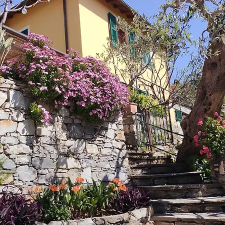 B&B L'alcova Tra Gli Ulivi