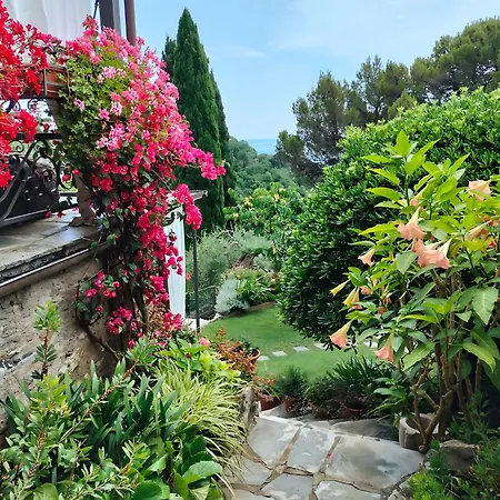 L'alcova Tra Gli Ulivi B&B 쪼알리