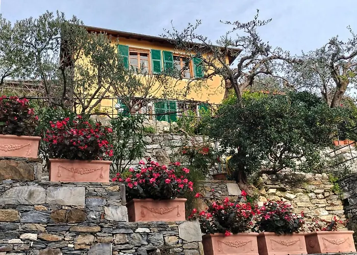 L'alcova Tra Gli Ulivi Bed & Breakfast Zoagli
