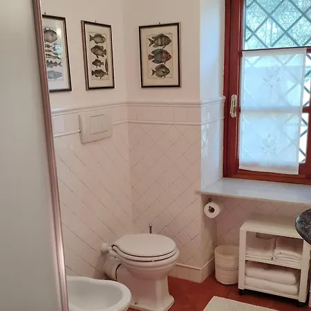 Bed & Breakfast L'alcova Tra Gli Ulivi