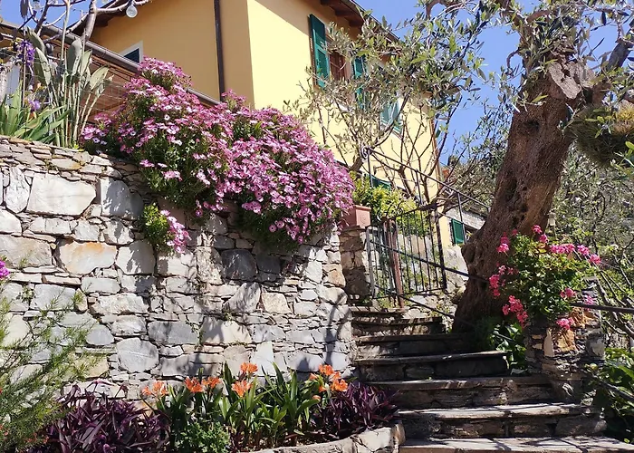 Bed & Breakfast L'alcova Tra Gli Ulivi